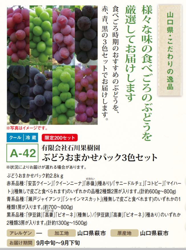 山口FGカタログ選択品