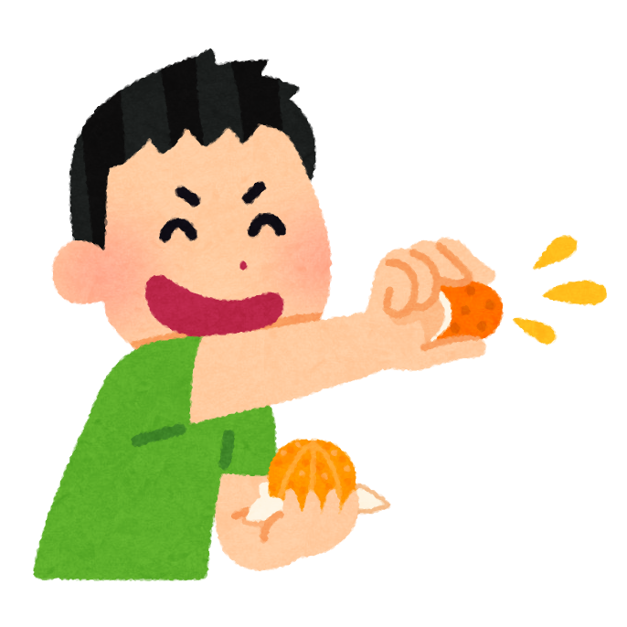 みかんがきた