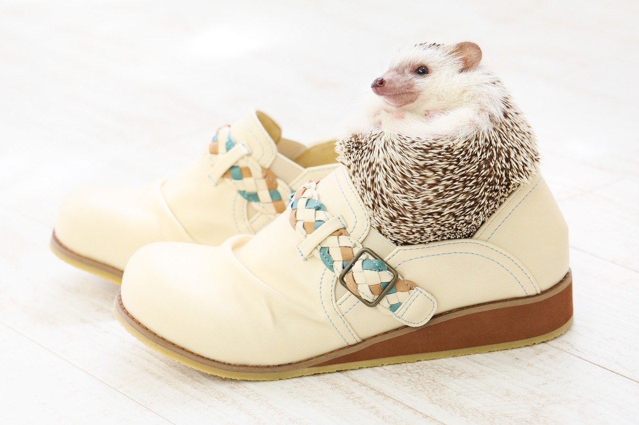 かわいい靴
