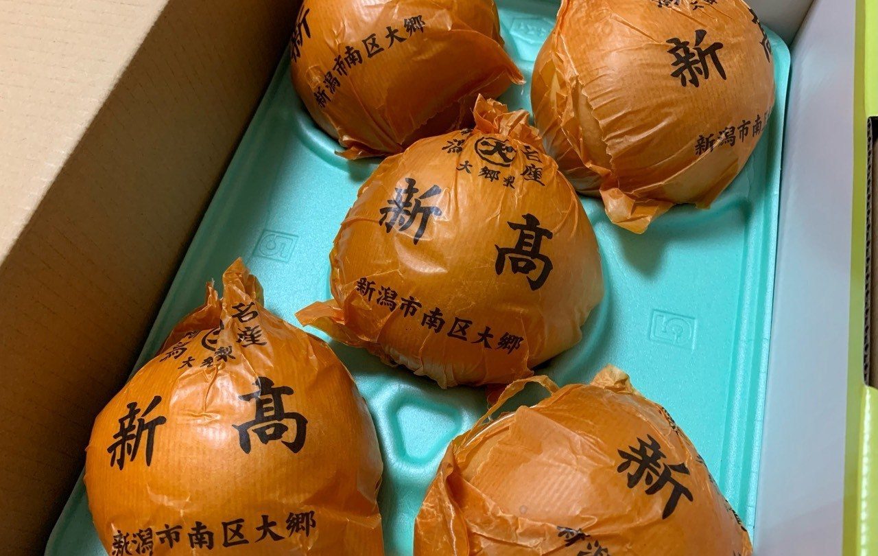新高梨(2019年エクセディ選択品)