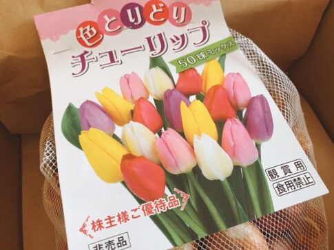 サカタのタネ（1377）からの株主優待品