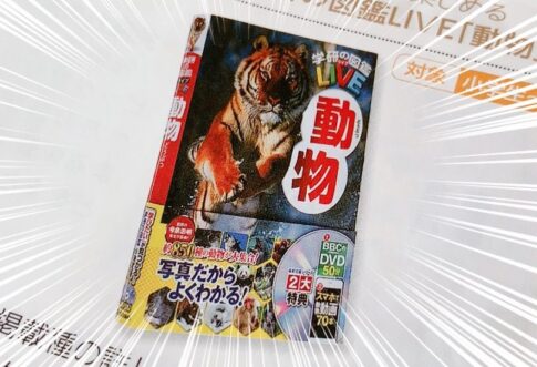 学研ホールディングス（9470）からの株主優待品