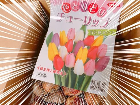 サカタのタネ （1377）の株主優待品