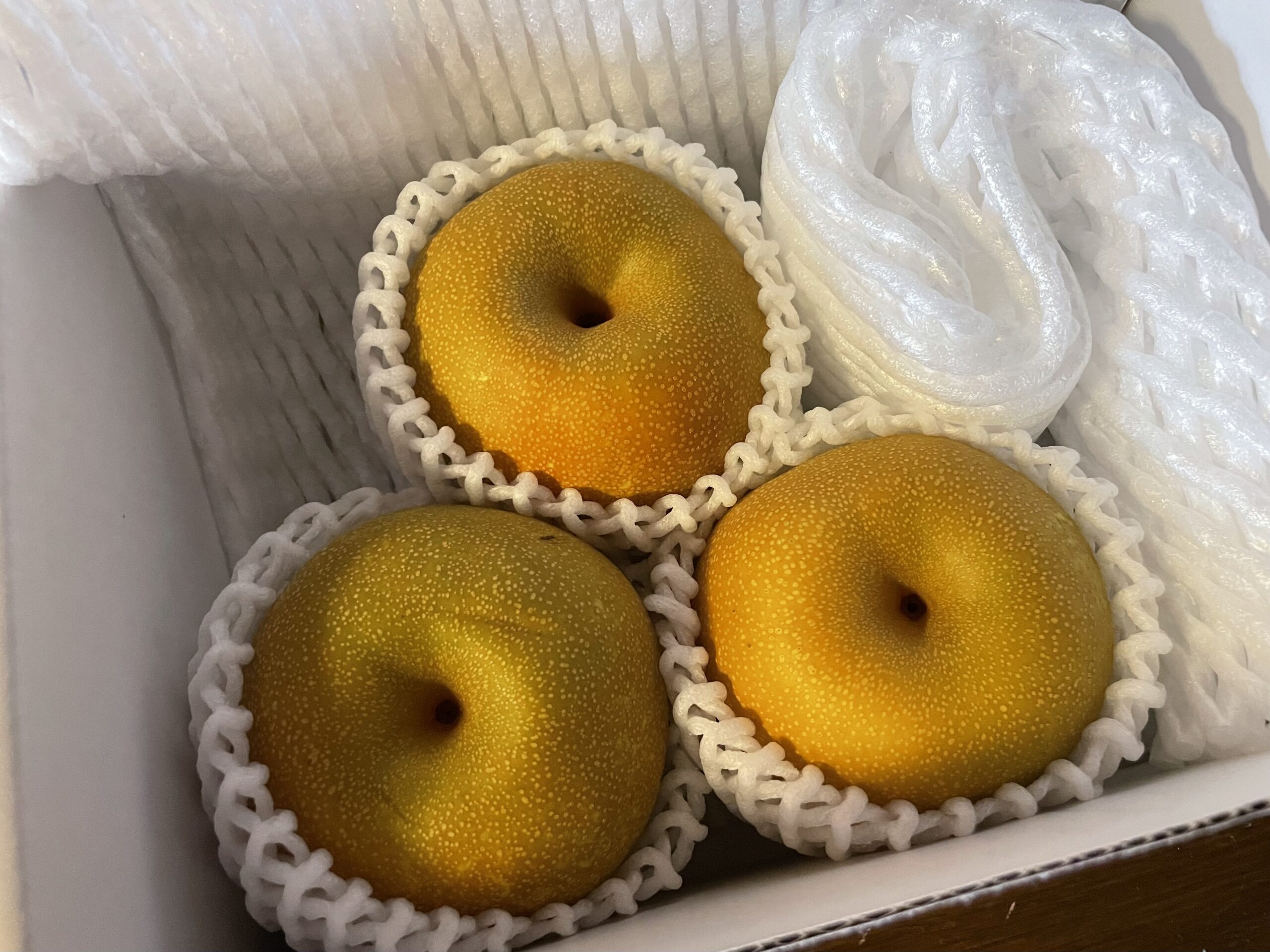 幸水