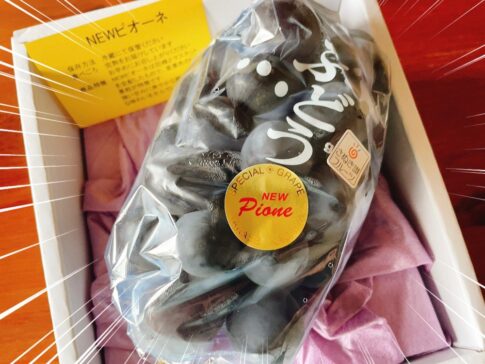 限定品のピオーネ