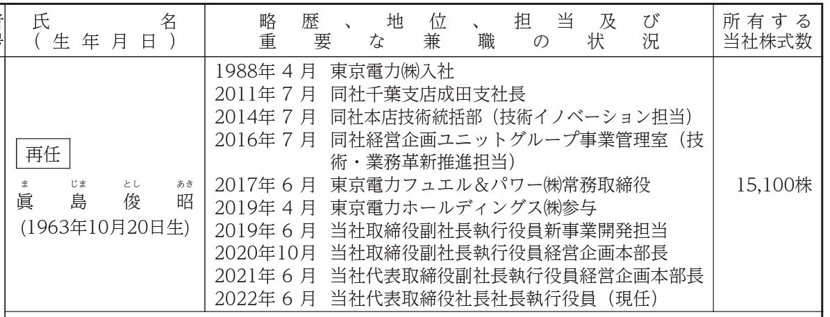 眞島社長の経歴