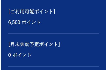 ワールド株主優待券の使い方