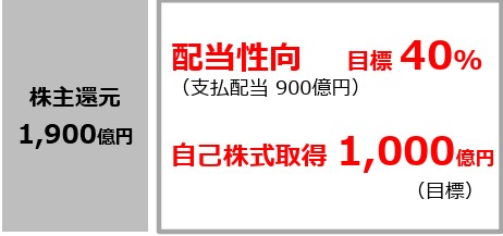 ヤマダホールディングスの株主還元